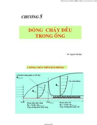 Bài giảng Cơ lưu chất - Chương 5: Dòng chảy đều trong ống - Nguyễn Thị Bảy