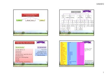 Bài giảng Môi trường và con người - Chương 4: Cách tiếp cận bảo vệ môi trường và tài nguyên (Phần 2) - Nguyễn Thị Ngọc Quỳnh