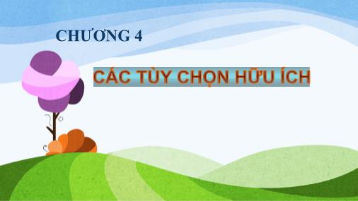 Bài giảng Tin học 2 - Chương 4: Các tùy chọn hữu ích