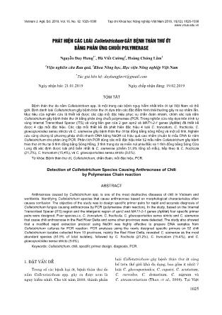 Phát hiện các loài Colletotrichum gây bệnh thán thư ớt bằng phản ứng chuỗi Polymerase