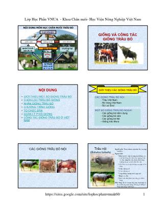 Bài giảng Chăn nuôi trâu bò - Chương 1: Giống và công tác giống trâu bò - Học viện Nông nghiệp Việt Nam