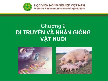 Bài giảng Nhập môn chăn nuôi - Chương 2: Di truyền và nhân giống vật nuôi - Học viện Nông nghiệp Việt Nam