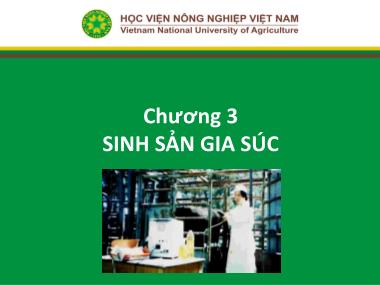 Bài giảng Nhập môn chăn nuôi - Chương 3: Sinh sản gia súc - Học viện Nông nghiệp Việt Nam