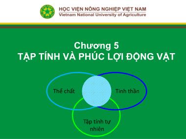Bài giảng Nhập môn chăn nuôi - Chương 5: Tập tính và phúc lợi động vật - Học viện Nông nghiệp Việt Nam