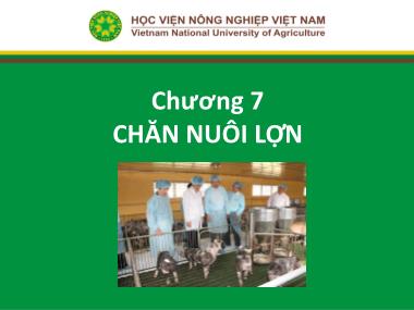 Bài giảng Nhập môn chăn nuôi - Chương 6: Chăn nuôi lợn - Học viện Nông nghiệp Việt Nam