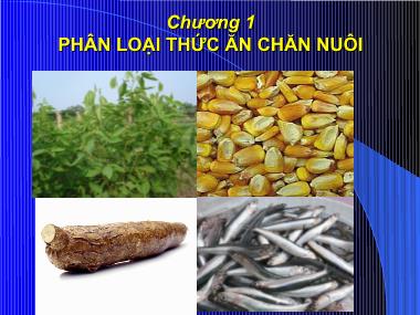 Bài giảng Thức ăn chăn nuôi - Chương 1: Phân loại thức ăn chăn nuôi
