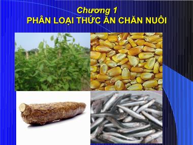 Bài giảng Thức ăn chăn nuôi - Chương 1: Phân loại thức ăn chăn nuôi